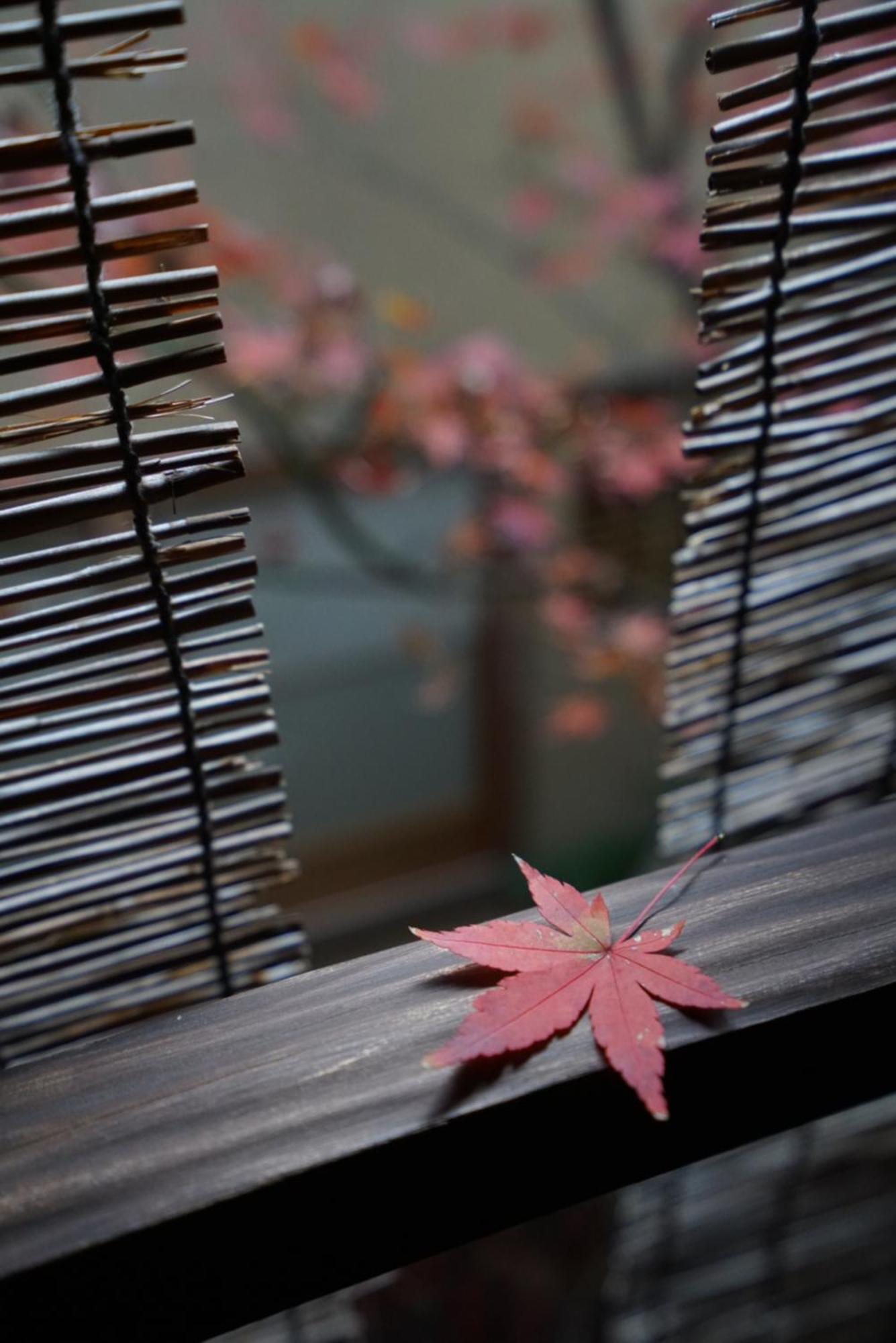 Ryokan Tori Kyoto Extérieur photo