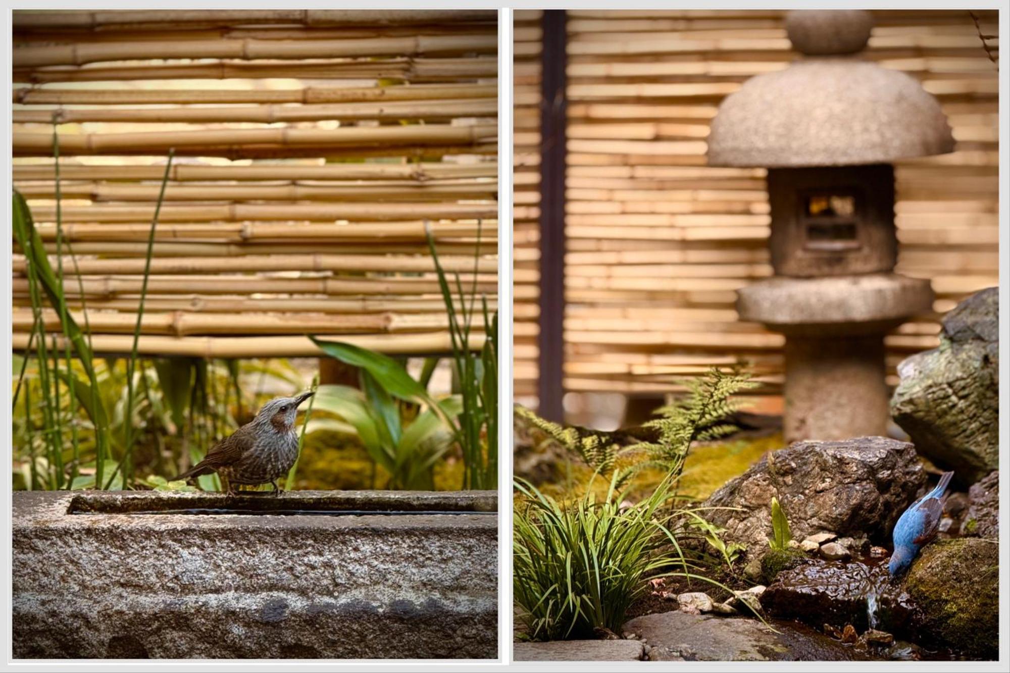 Ryokan Tori Kyoto Chambre photo